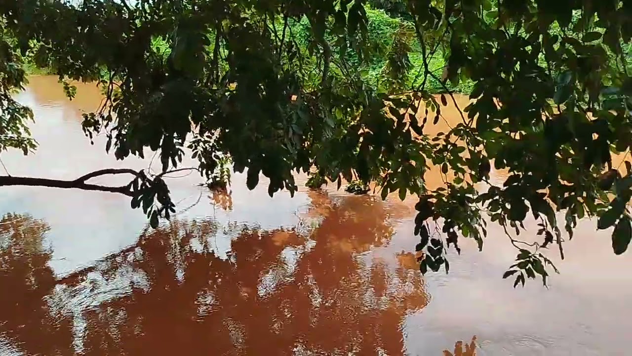 Río Gurguéia bom Jesus pi 