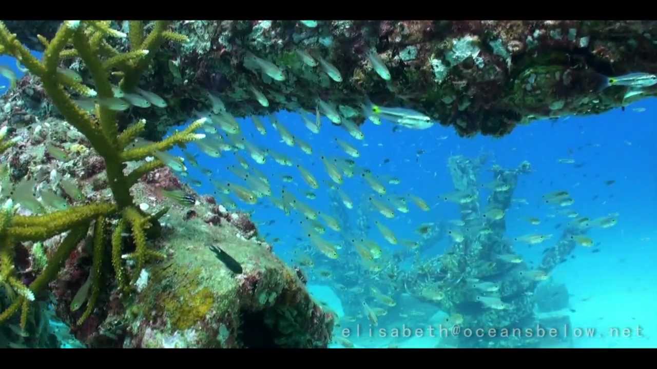 Beautiful diving Koh Tao, April 2012