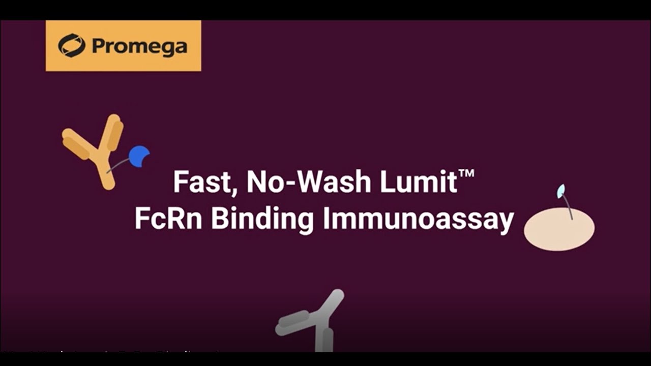 How Lumit&trade; Immunoassays Work