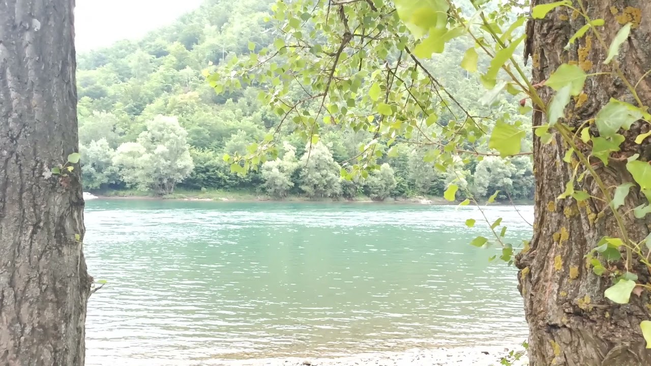 Nature in the nature frame