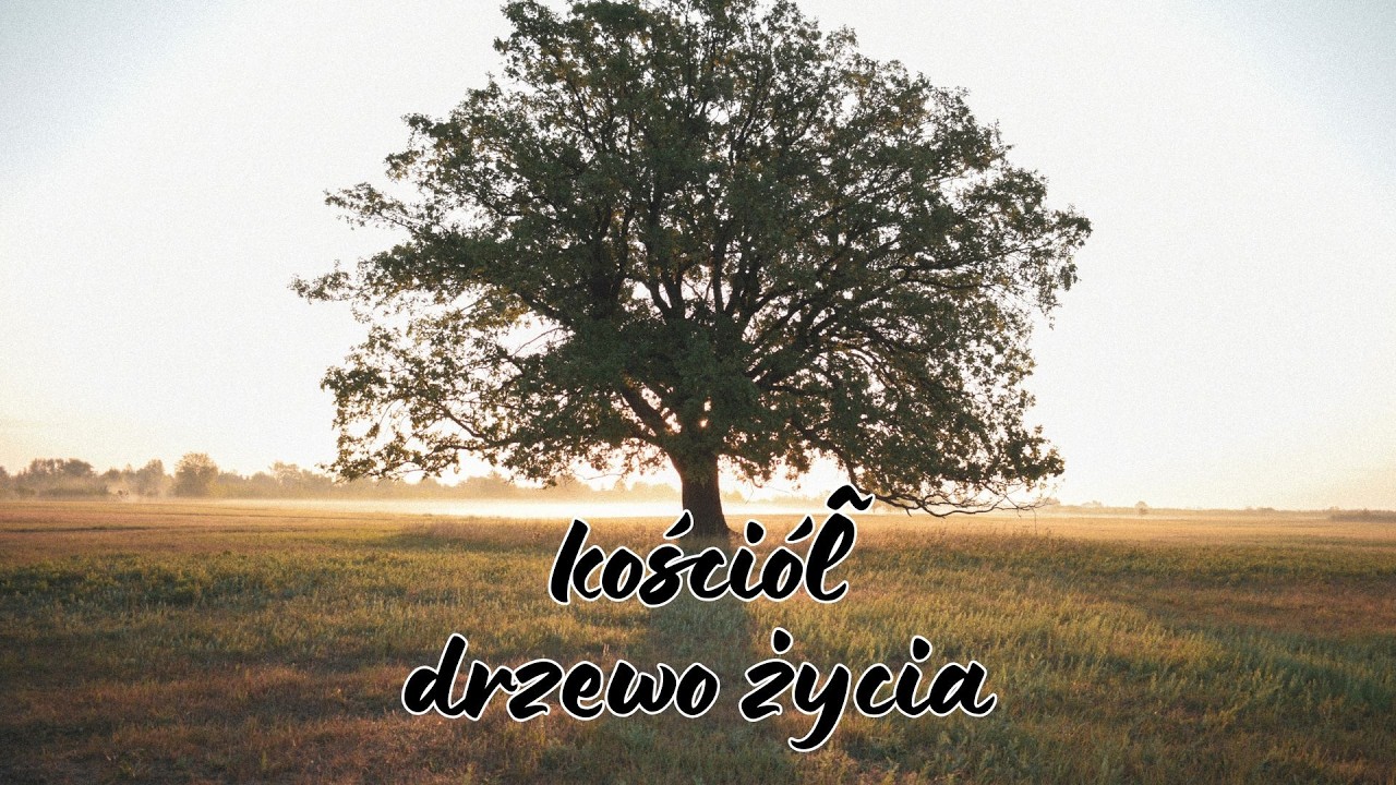 Kościół Drzewo Życia - Nabożeństwo 22.02.2026r. - Pastor Dariusz Rochecki