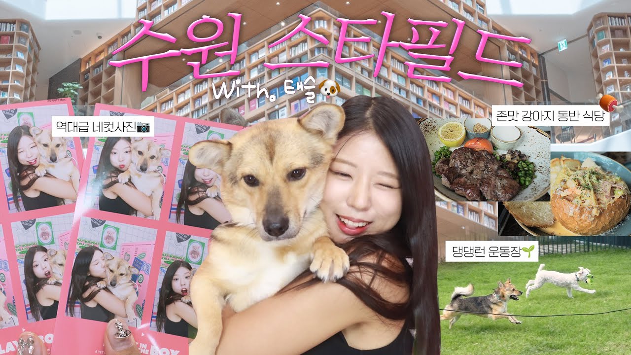 댕댕 맘들 모여라..🐕❤️ in 수원 스타필드! (꿀팁모음, 강아지동반식당, 강아지운동장🍃)