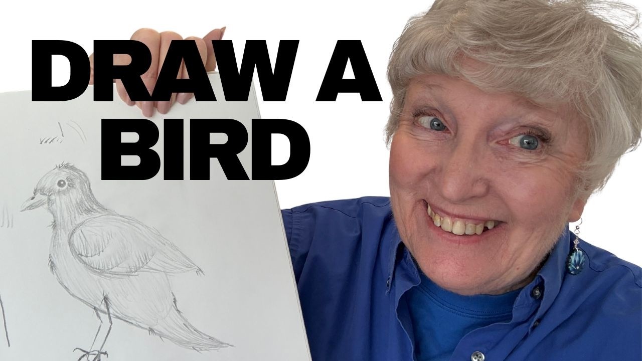 How to Draw a Bird Step by Step for Beginners