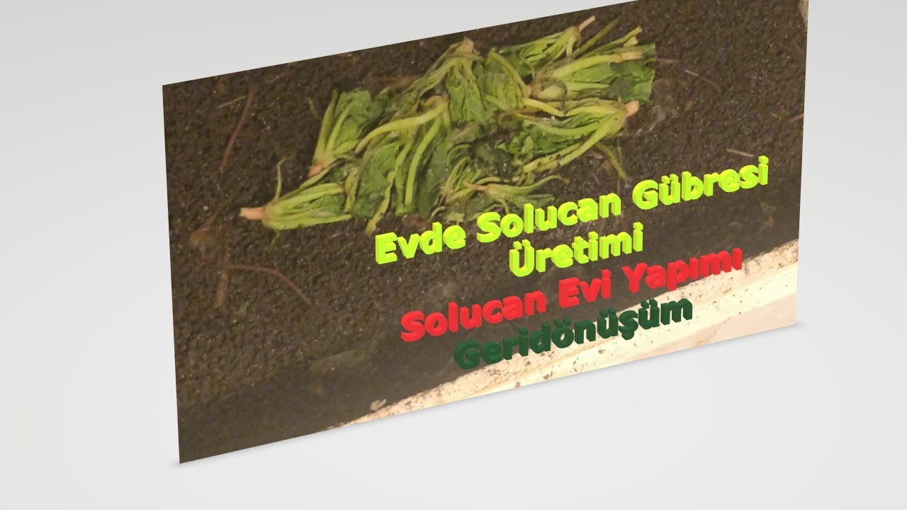 Evde Solucan Gübresi Üretimi, Solucan Evi Yapımı, Geridönüşüm ---- DIY Worm House