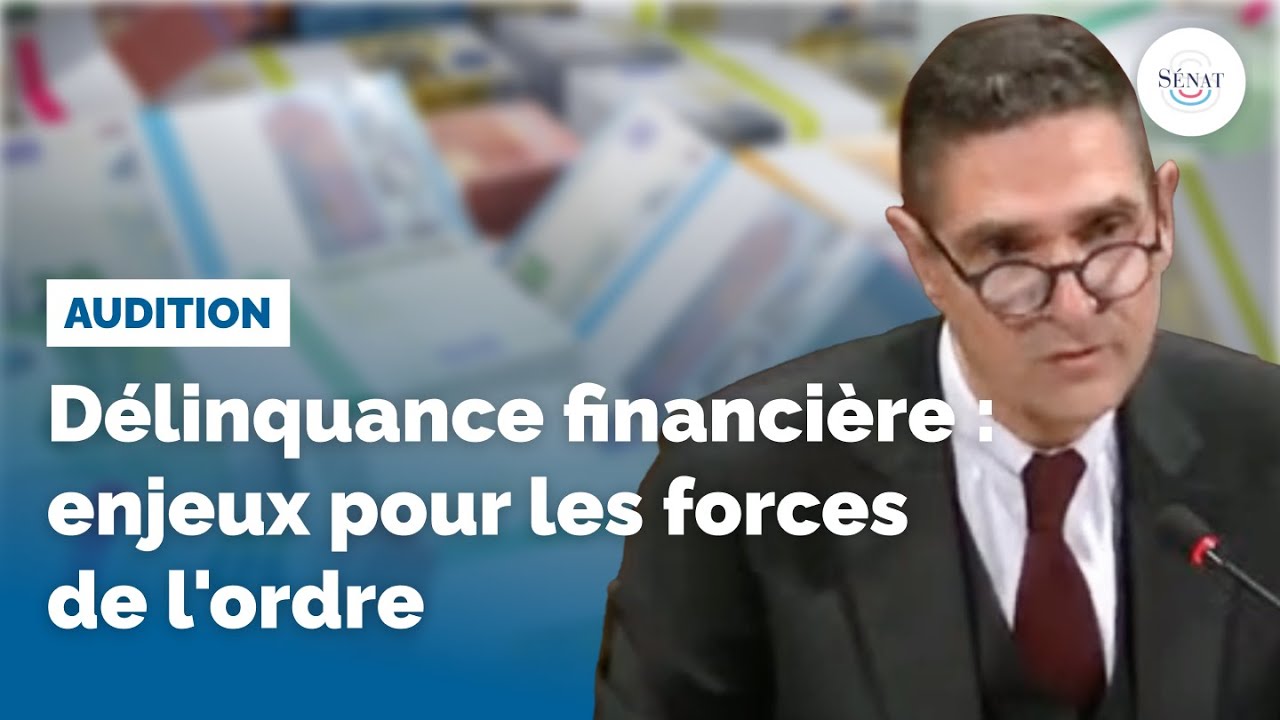 Délinquance financière : enjeux pour les forces de l'ordre