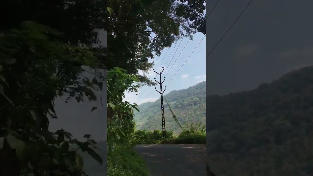 Attappadi #shorts