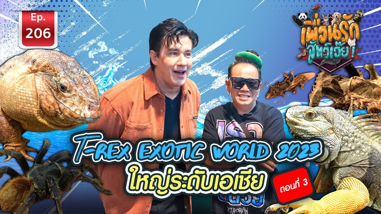 T - Rex Exotic World 2023 ใหญ่ระดับเอเชีย I เพื่อนรักสัตว์เอ๊ย Ep.206 Part3