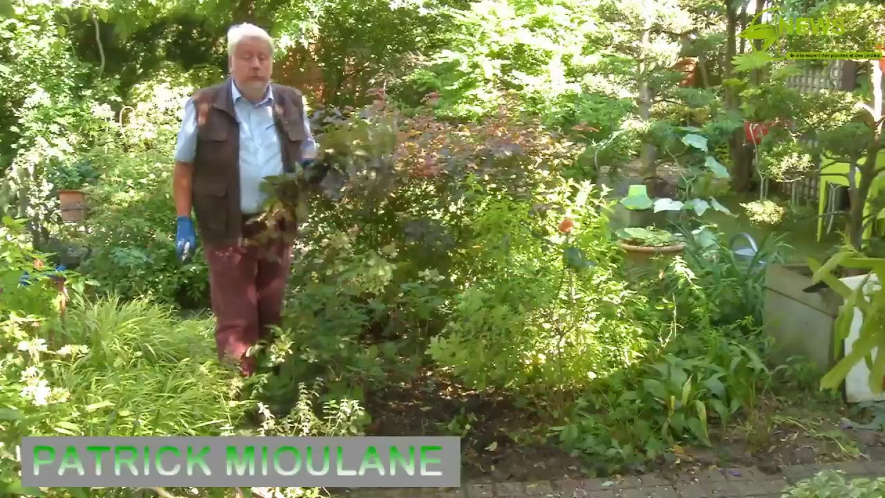 EMISSION DIRECT AU JARDIN NUM&Eacute;RO 1 PATRICK MIOULANE VOUS ACCUEILLE DANS SON JARDIN ET VOUS CONSEILLE