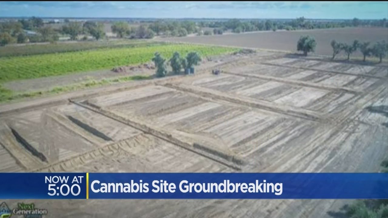 Massive Marijuana Greenhouse Under Construction In Yolo County