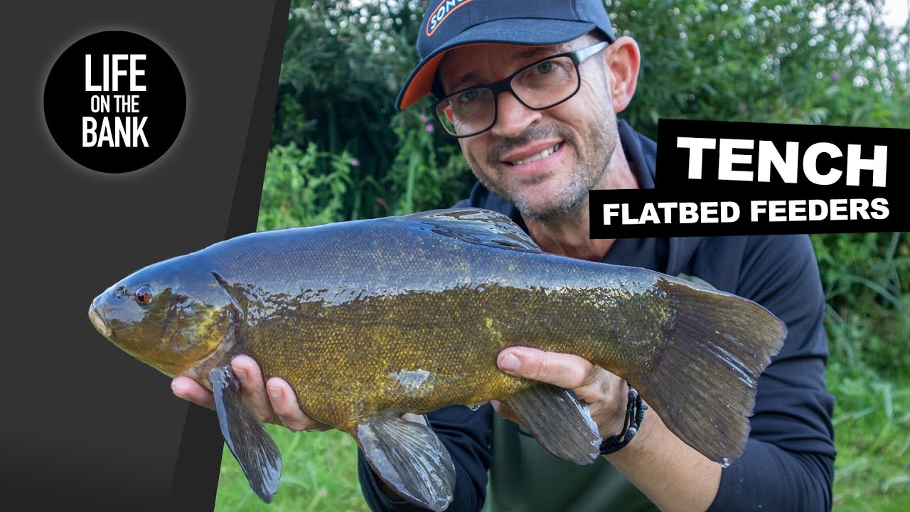 TENCH FISHING IN SUMMER - METHOD FEEDER