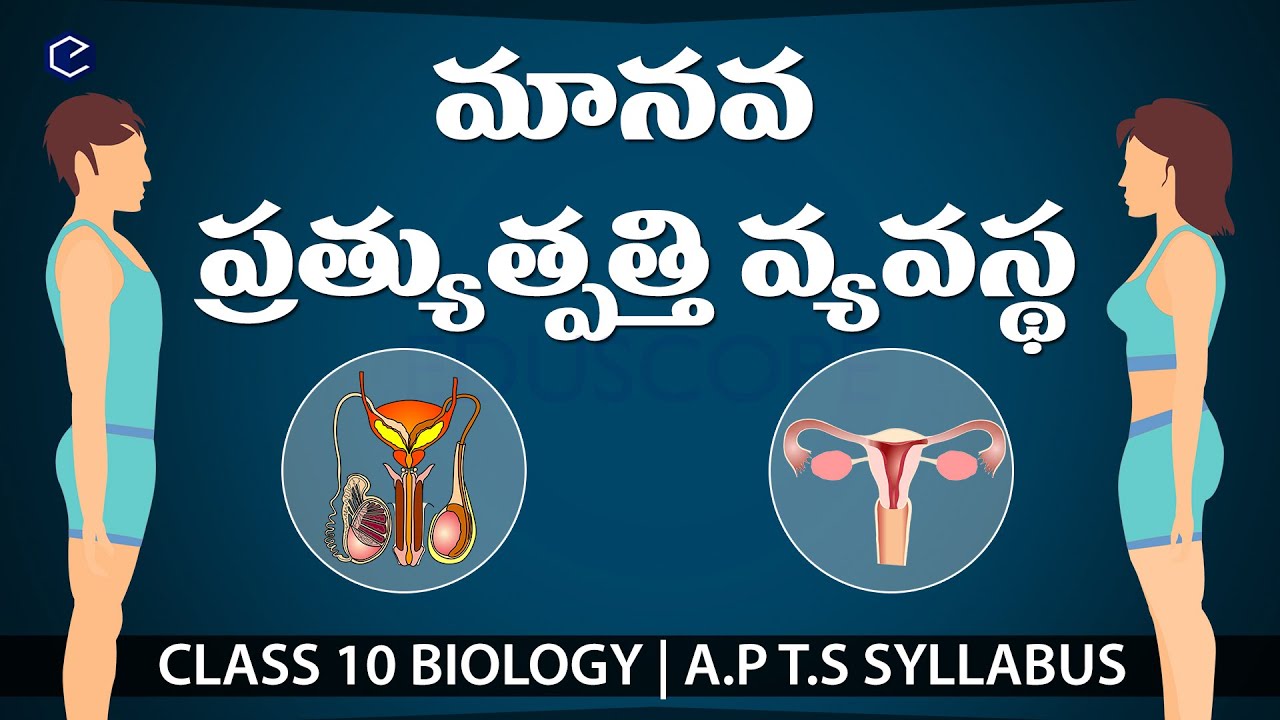 ప్రత్యుత్పత్తి వ్యవస్థ #Pratyutpatti |Reproduction in telugu | 10th science | biology 10th in telugu