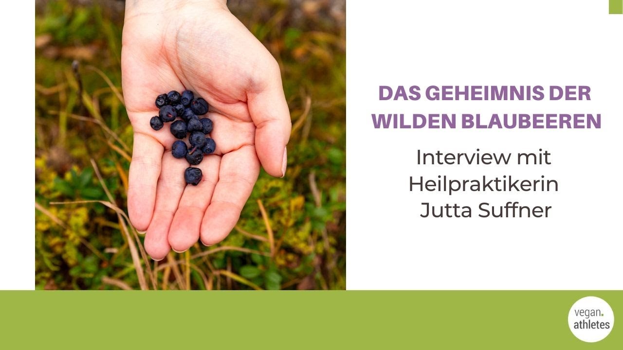 Das Wilde Heidelbeeren Geheimnis mit Jutta Suffner (Wilde Blaubeere ist der neue Superstar)