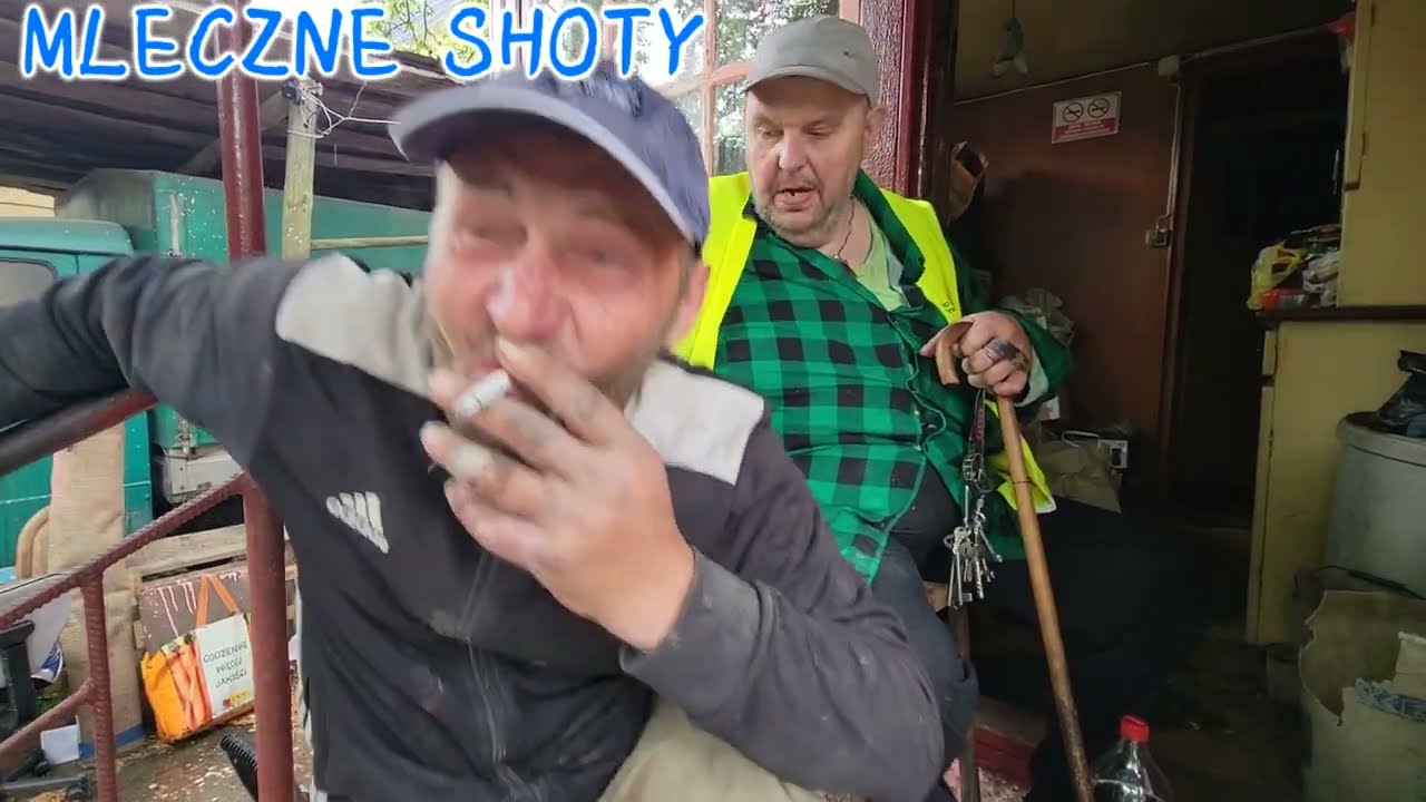 Absolutnie żadnego psa Krzysiek