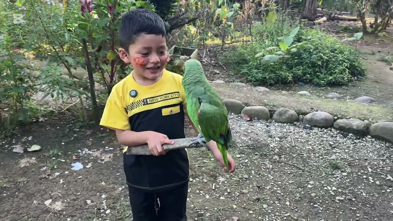 El lorito llamado Pepe.🦜