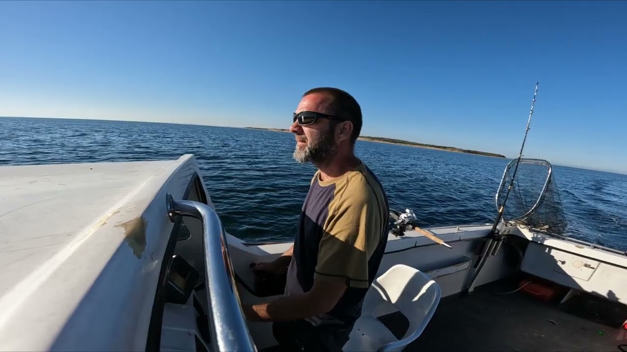 Fisketur i Aug omkring Samsø.  høj sol og masser af liv
