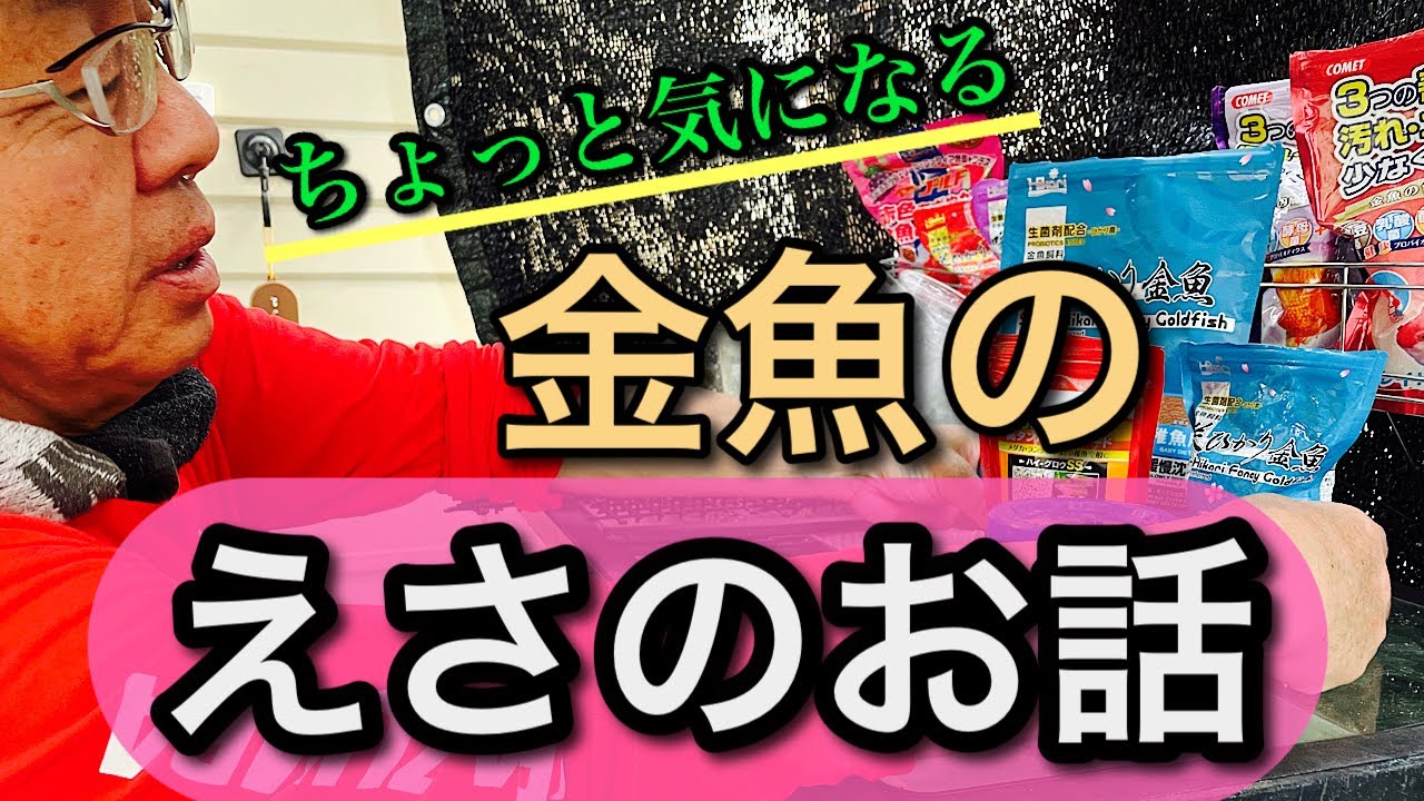 【金魚飼育】金魚に与える餌の量を今一度考えて直してみたら、やっぱりやり過ぎていた‥