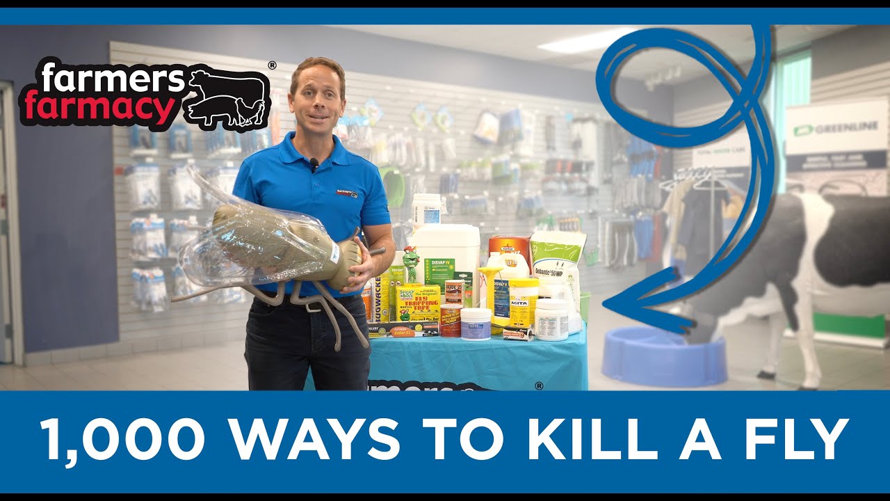 1000 ways to Kill a Fly - Feature Product Friday