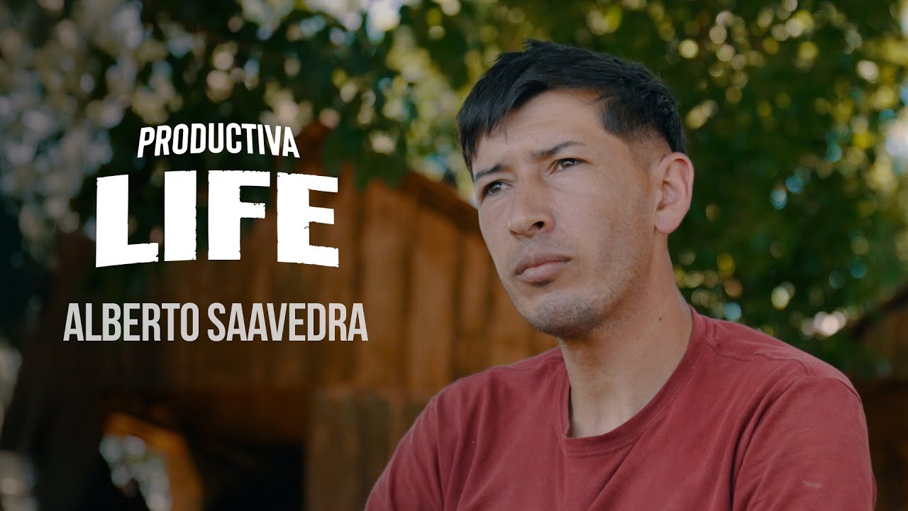 #139 Productiva Life | Alberto Saavedra