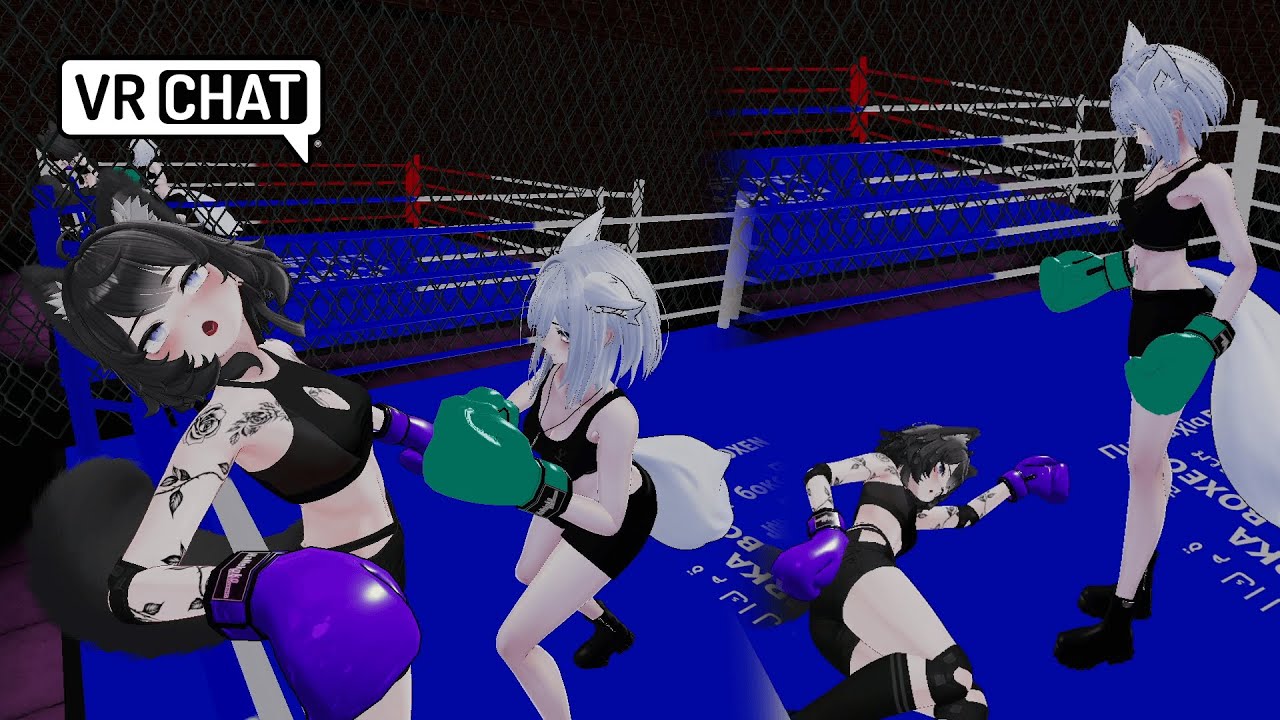 A wild fight in the ring VRchat BOXING