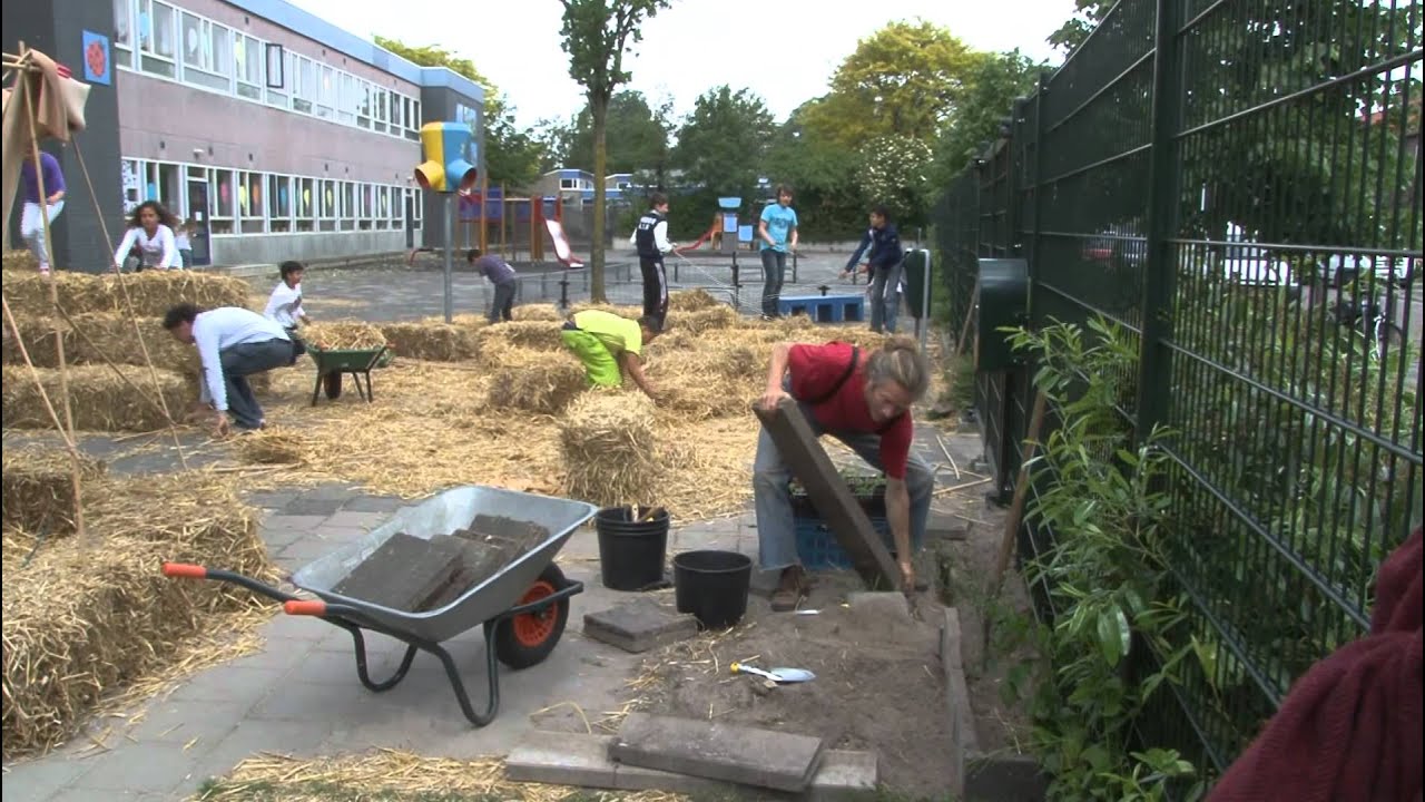 Het groene eetbare schoolplein - De Schakel, Leiden