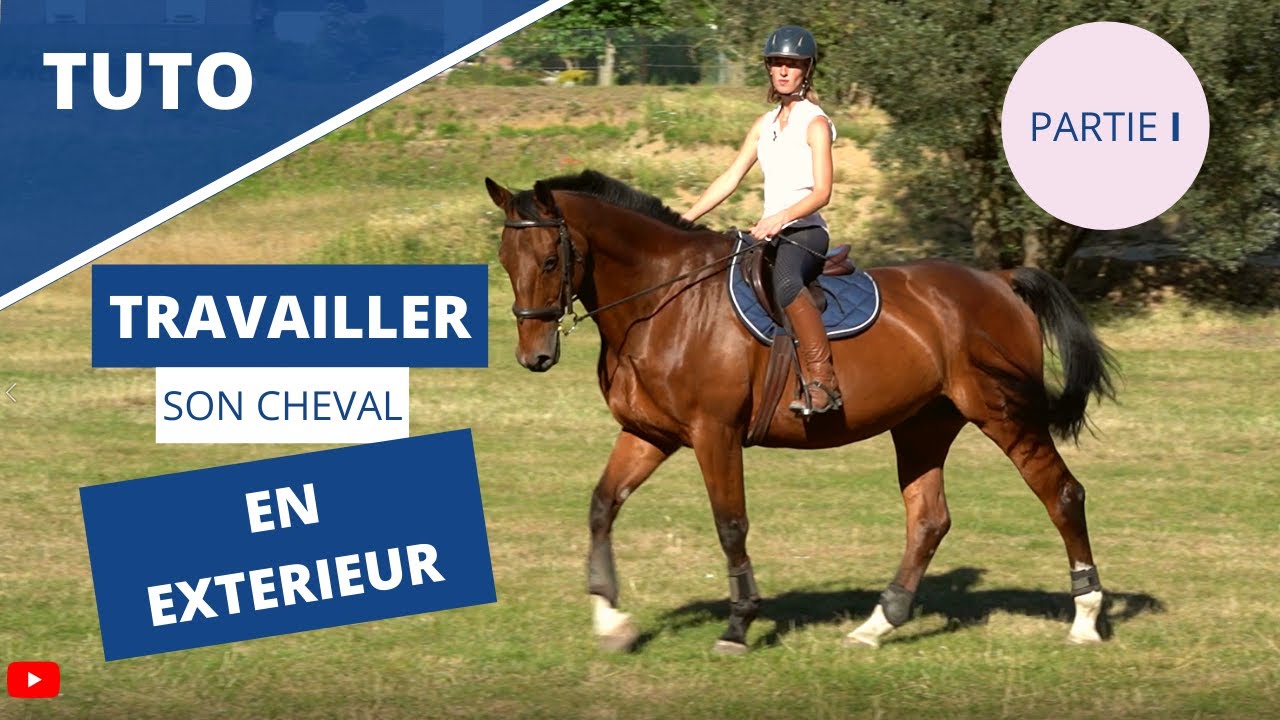 Travailler ton cheval en extérieur PARTIE 1