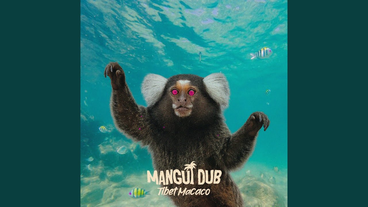 Tibet Macaco