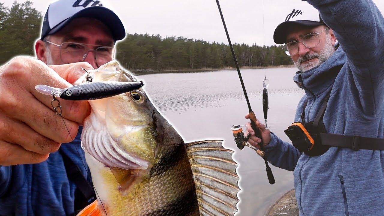 Barsch auf Twitchbait: So ballert's vom Ufer!