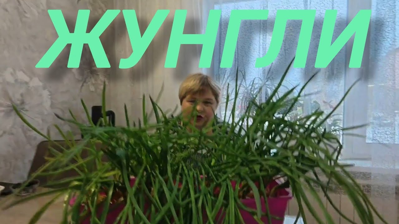 Аналитический обзор на канал Ольга Уралочка live от 14 марта 2026 года. Жунгли...🐆🦒🦥