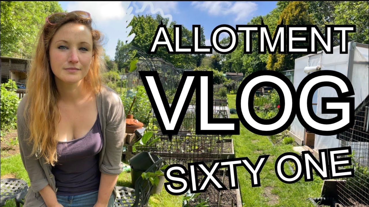 Planting out Climbing Beans, Clearing for new Crops and Getting to 10k! || Plot 37 (Episode 61)
