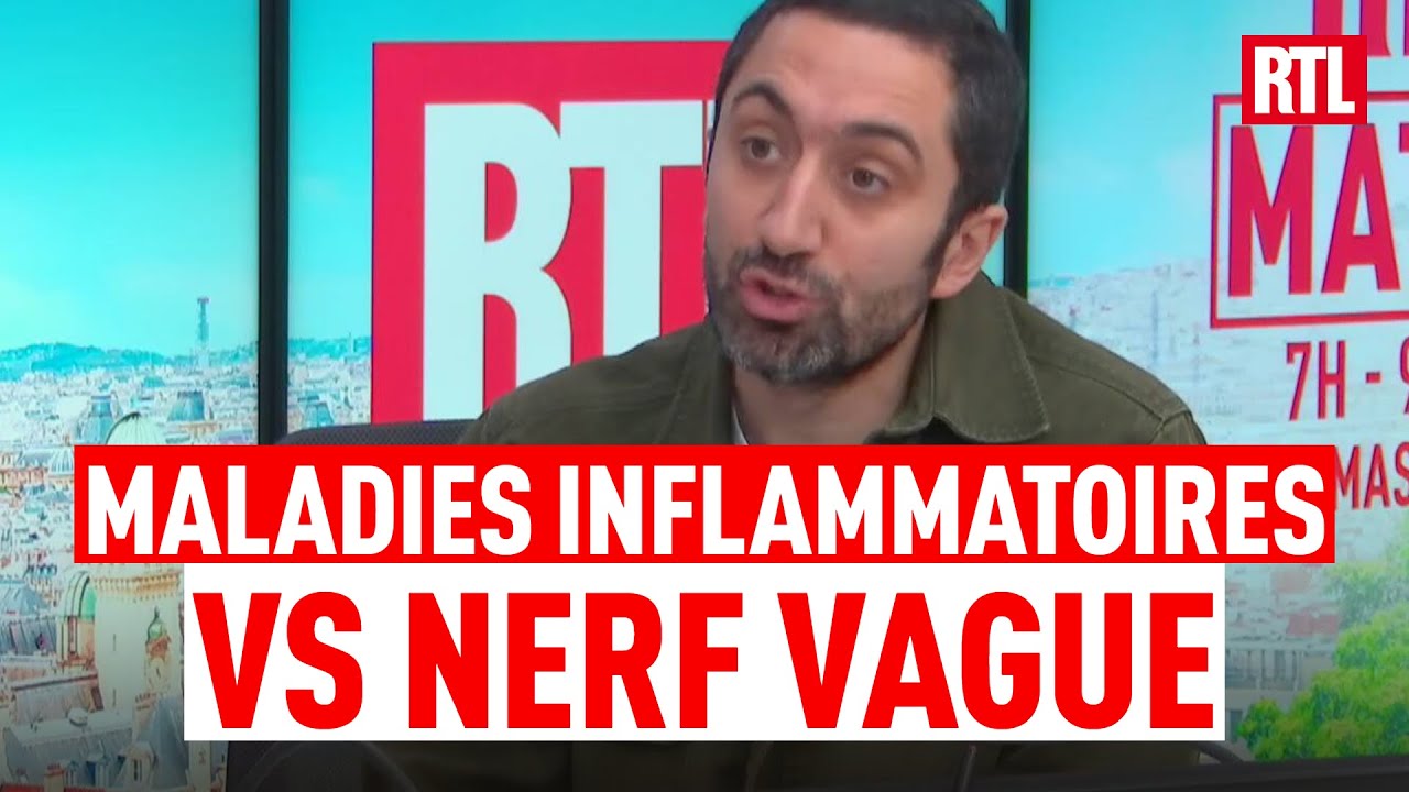 Maladies inflammatoires : le nerf vague joue un rôle crucial dans l'amélioration des symptômes