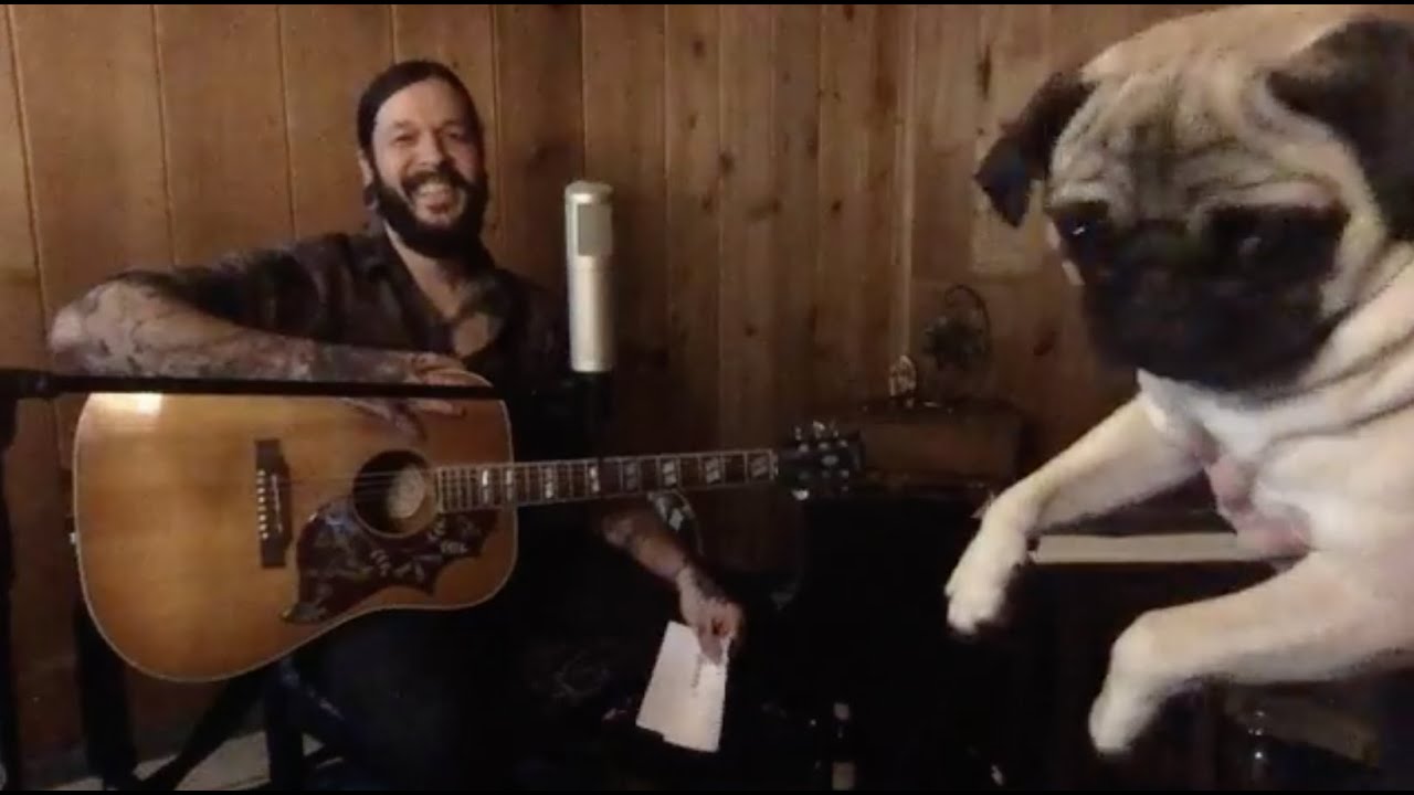 Shawn James - Quarantine Live Stream Show!