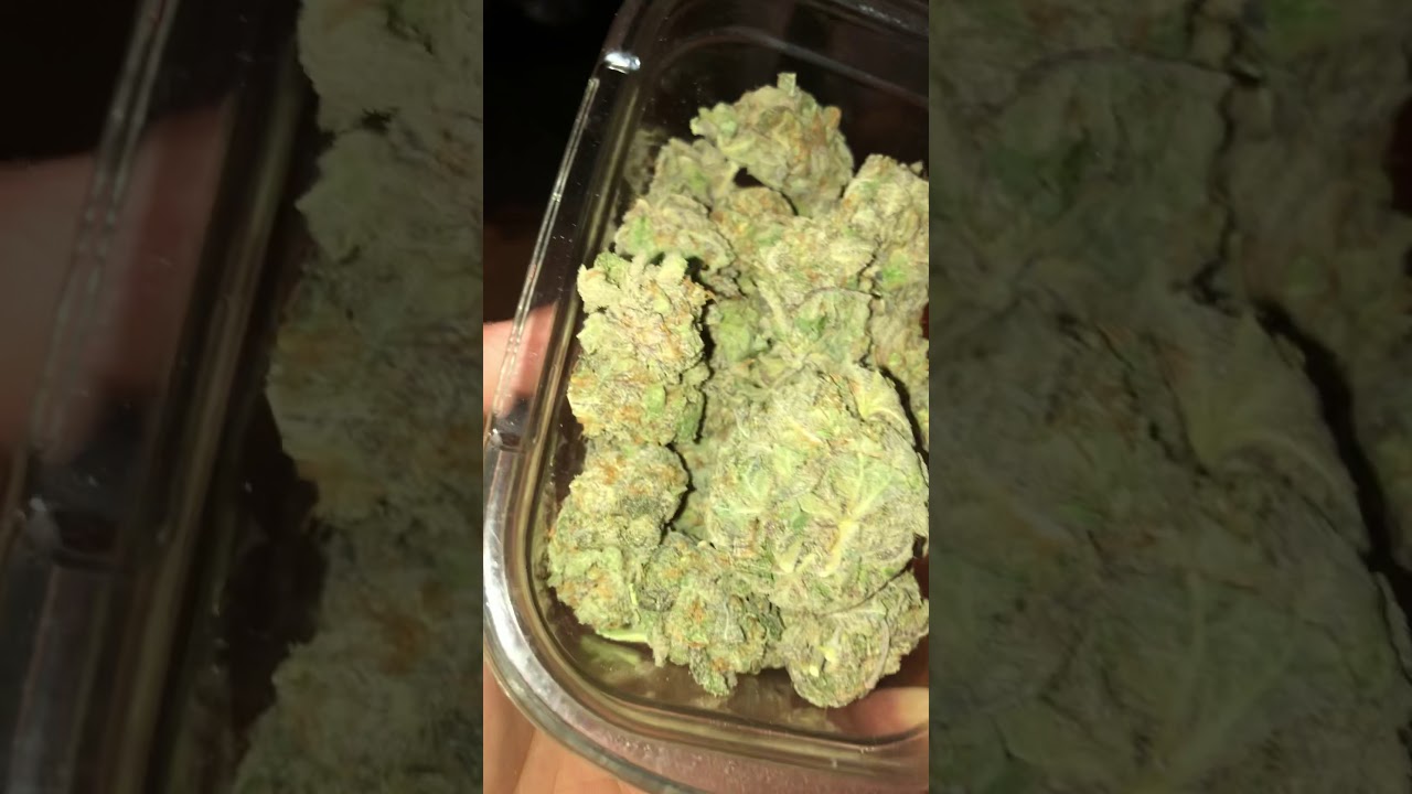 STRAIN: PURPLE MONKEY BALLS
