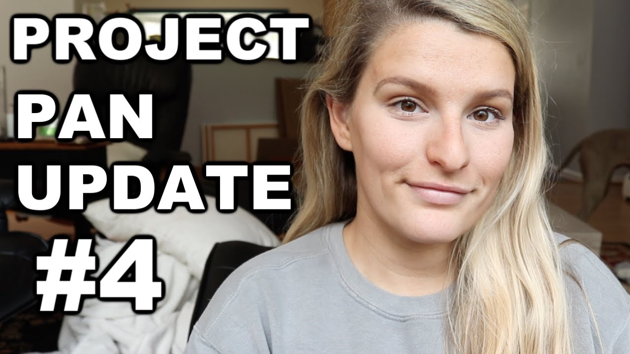 Team Project Pan 2020 Update #4