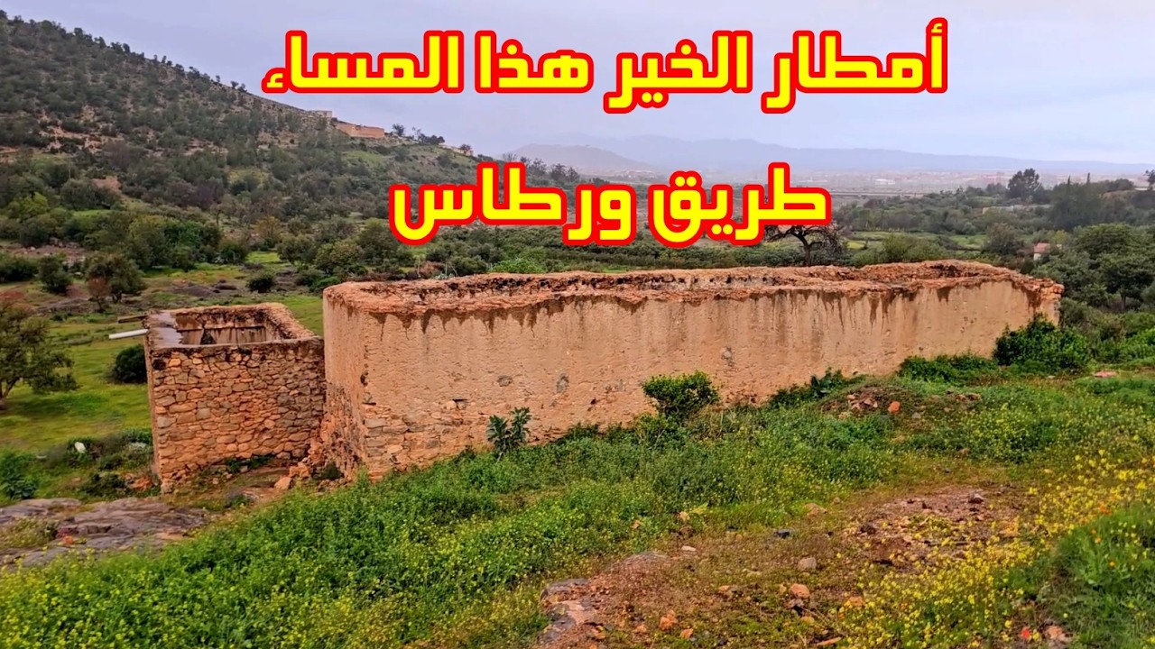 أمطار الخير هذا المساء أجواء رائعة في طريق ورطاس بمدينة بركان