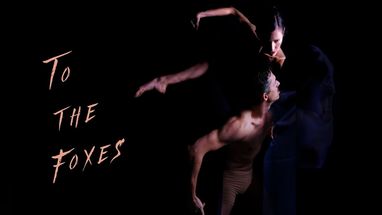 'To the Foxes' REEL