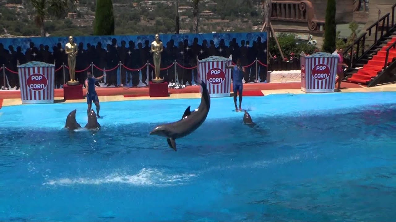 MundoMar Dolphin Show 2013