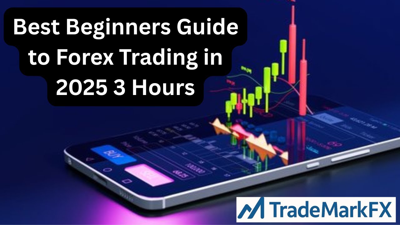 Best Beginners Guide to Forex Trading in 2025  3  Hours