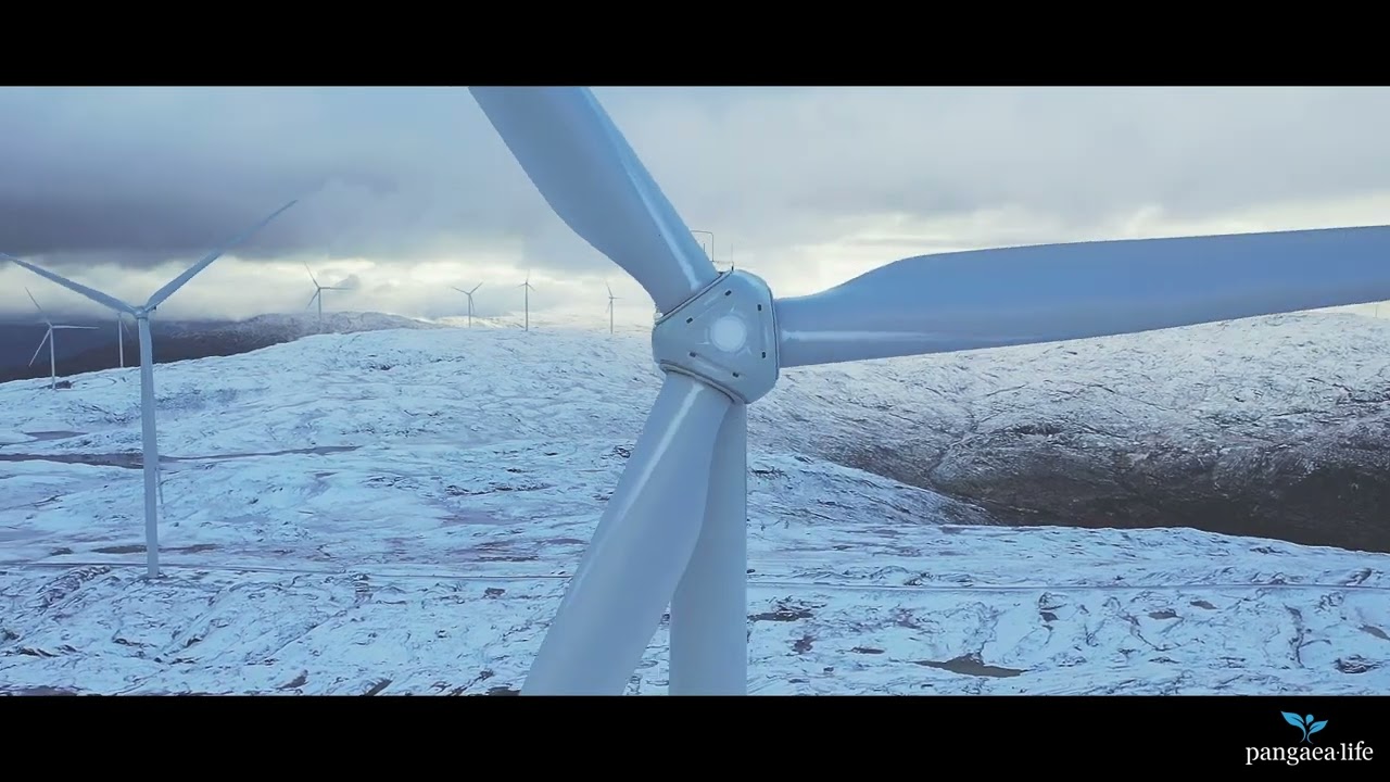 Pangaea Life Blue Energy – Die Kraft nachhaltiger Energieinvestments