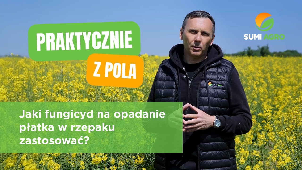 Jaki fungicyd na opadanie płatka w rzepaku zastosować?