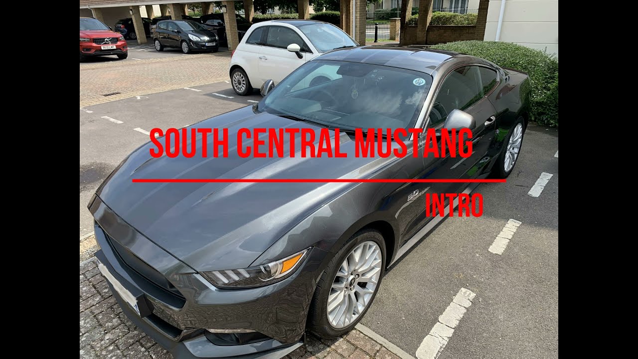 South Coast Mustang Intro