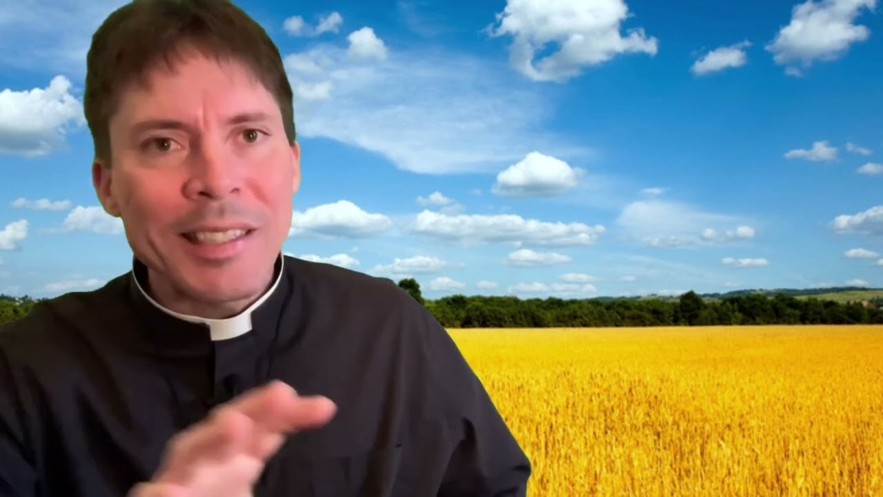 Mystic Gives Insight on Suicides - Fr. Mark Goring, CC