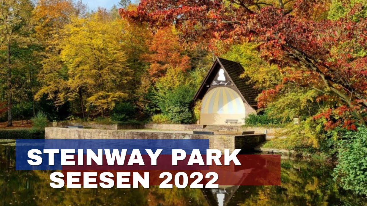 Steinway Park Seesen 2022 - Cloudy winter Walking in 4K 60 fps (UHD)