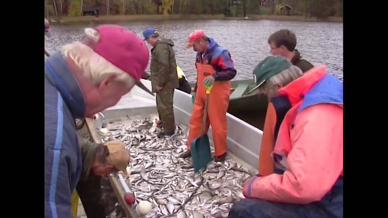 Hoitokalastus syysnuottauksella