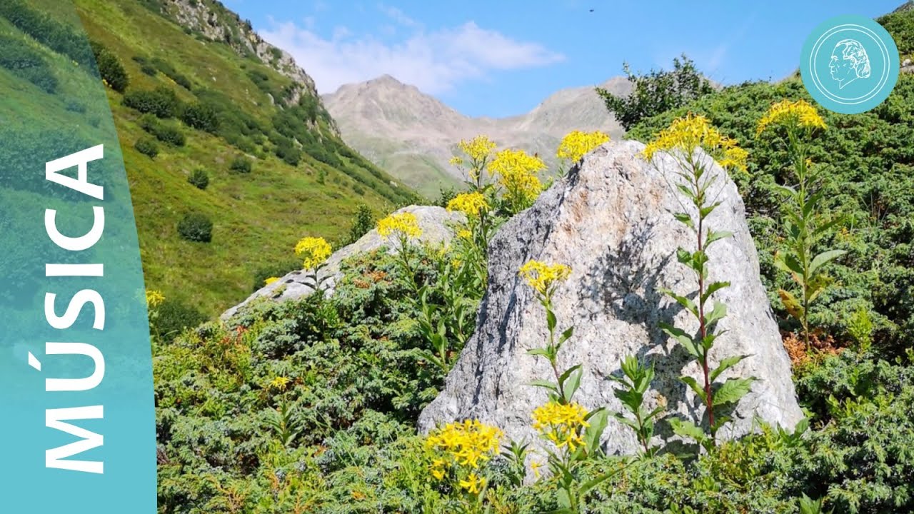 Conectividad - Música relajante y fotos de la naturaleza por amigos de Bruno Groening