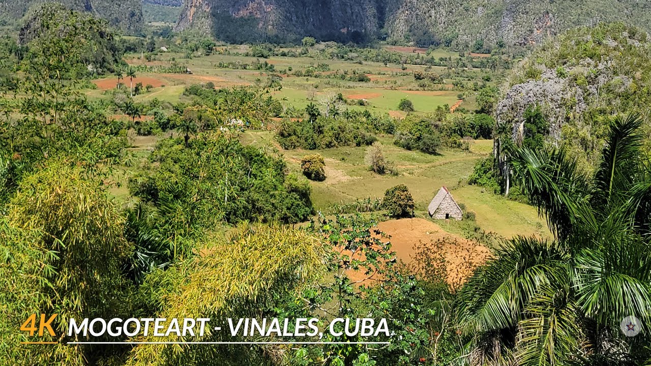 【4K】Mogoteart a rental house in Vinales, Cuba. Where nature and art mix to create the best feeling.