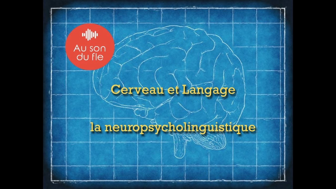 Cerveau et Langage: la Neuropsycholinguistique