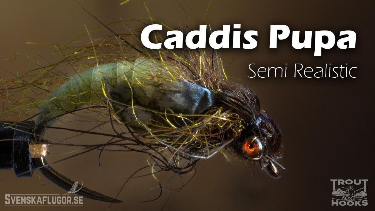 Latex Caddis Pupa | Flugbindning | Svenskaflugor.se