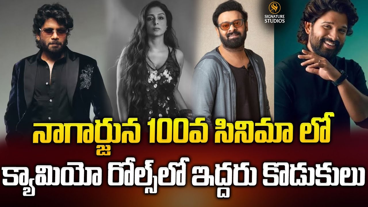 నాగార్జున 100వ సినిమా లో క్యామియో రోల్స్‌లో ఇద్దరు కొడుకులు..| Nagarjuna King 100@signaturestudiostv