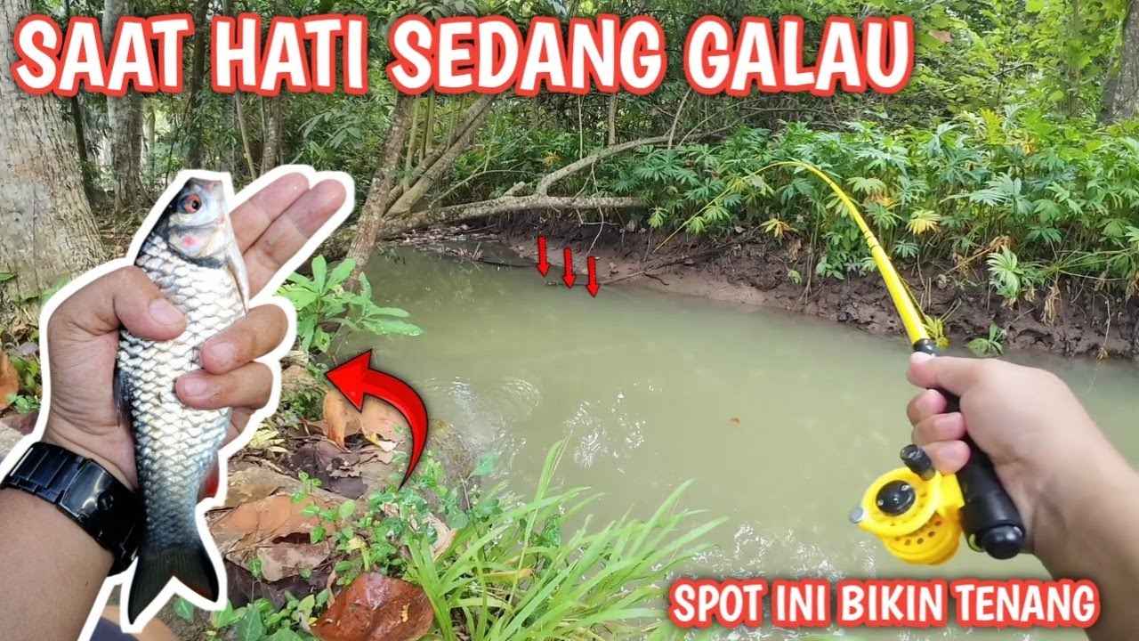 HATI GAK TENANG, PIKIRAN BIMBANG‼️ TAPI UJUNG-UJUNGNYA DAPET BABON 🎣🔥