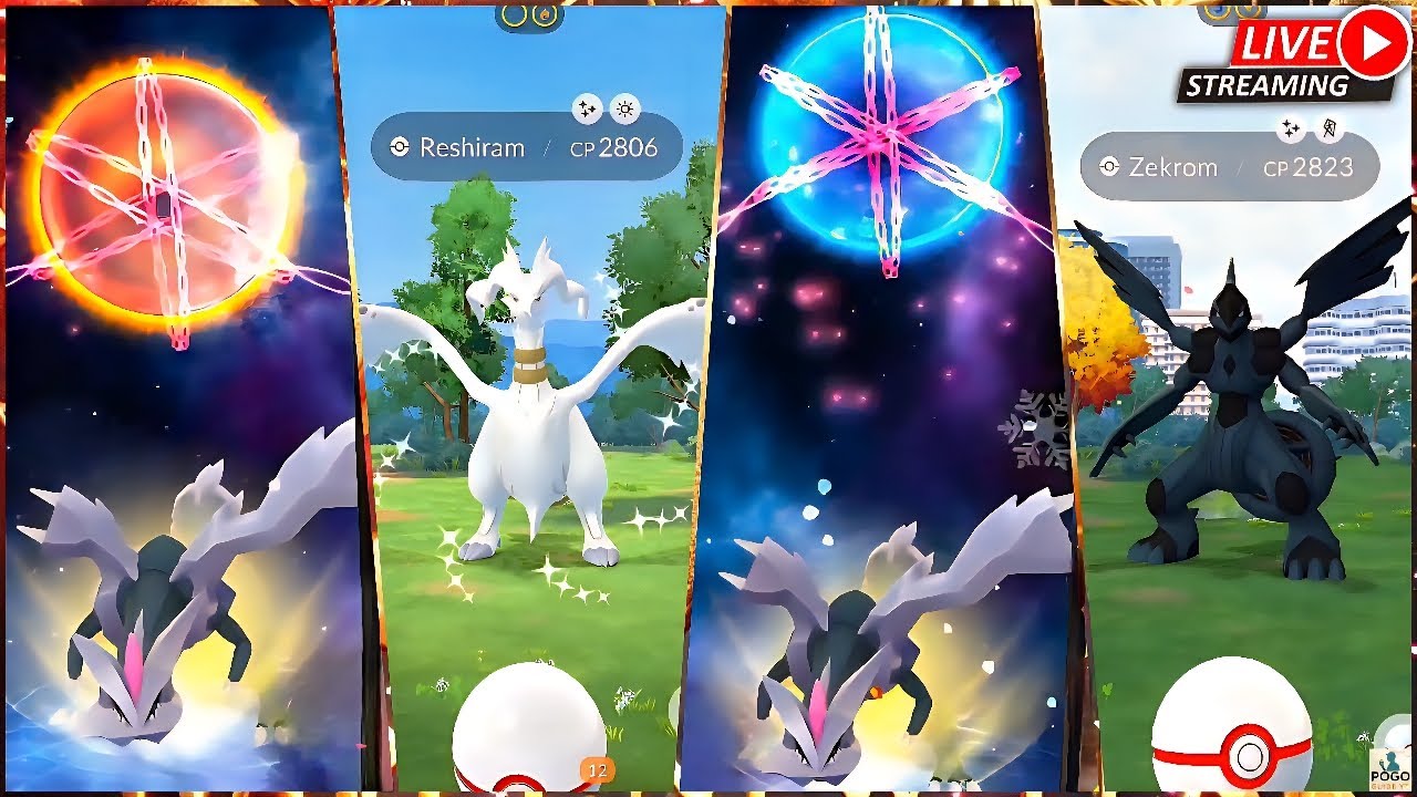 Last Chance 🥹 | 60+ Black Kyurem, White Kyurem, Reshiram & Zekrom Raids Pokémon Go LIVE
